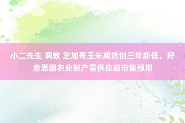 小二先生 调教 芝加哥玉米期货创三年新低，好意思国农业部产量供应超市集预期