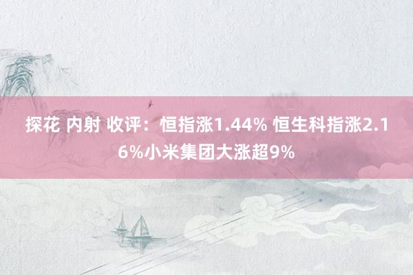 探花 内射 收评：恒指涨1.44% 恒生科指涨2.16%小米集团大涨超9%