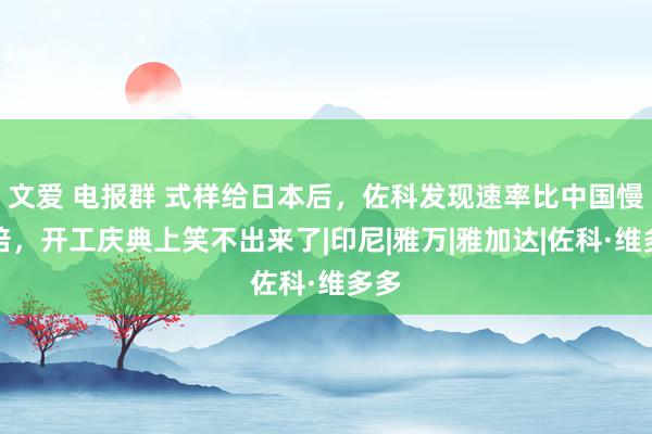 文爱 电报群 式样给日本后，佐科发现速率比中国慢五倍，开工庆典上笑不出来了|印尼|雅万|雅加达|佐科·维多多