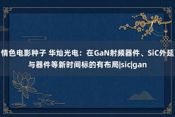 情色电影种子 华灿光电：在GaN射频器件、SiC外延与器件等新时间标的有布局|sic|gan